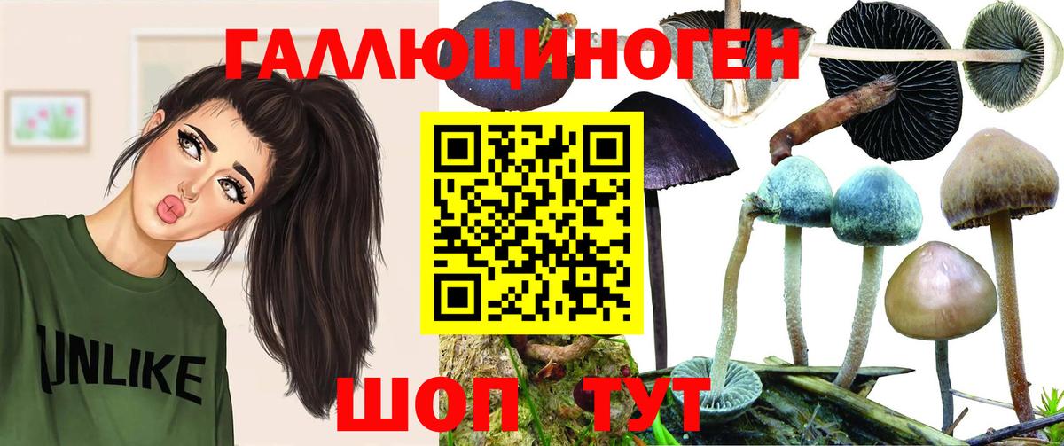 Великий Новгород  Псилоцибиновые грибы Psilocybe  Вход с VPN 